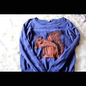 Squirrel Sweater